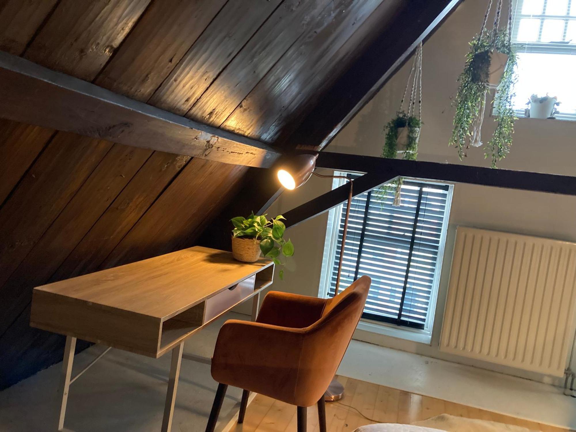 Elegant Appartement In Pakhuis Friesland Centrum Leeuwarden Exteriör bild
